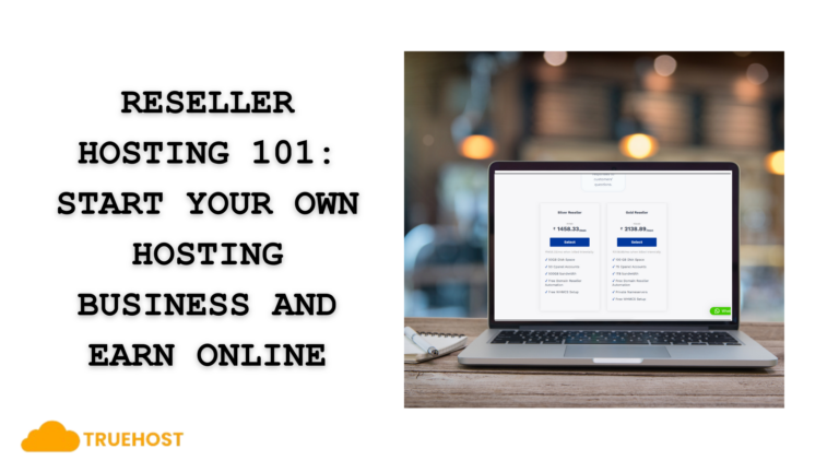 Reseller Hosting 101: Start Your Own Hosting Business and Earn Online