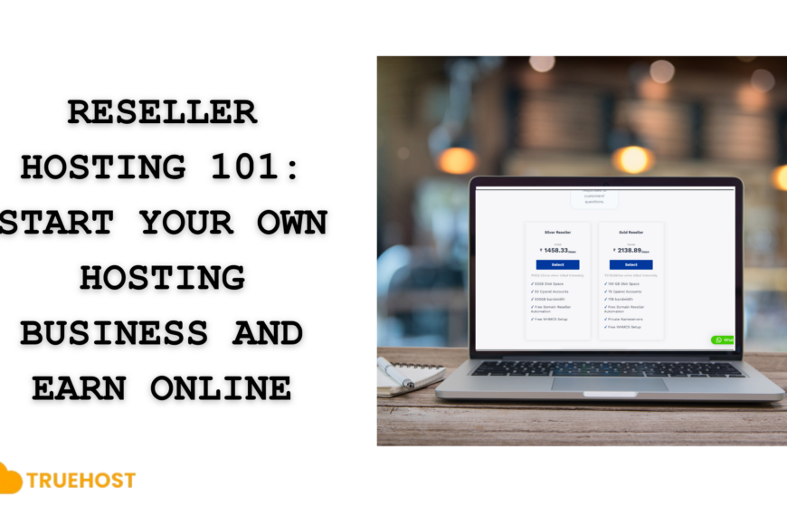 Reseller Hosting 101: Start Your Own Hosting Business and Earn Online