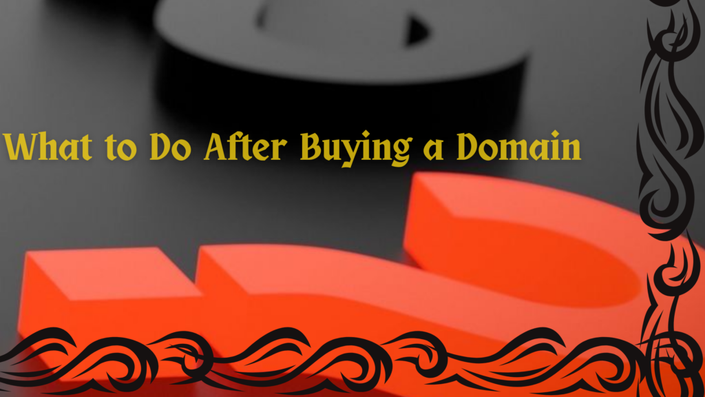 What to Do After Buying a Domain: 5 Smart Steps to Get Started 1 What to Do After Buying a Domain