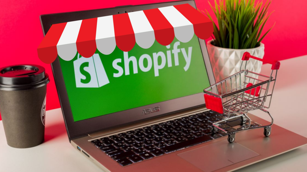 Shopify stores in India