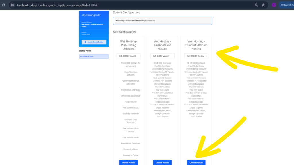 A 6 Step Practical Guide on How to Upgrade Your Hosting Plan 4 How to Upgrade Your Hosting Plan Truehost Upgrade Area