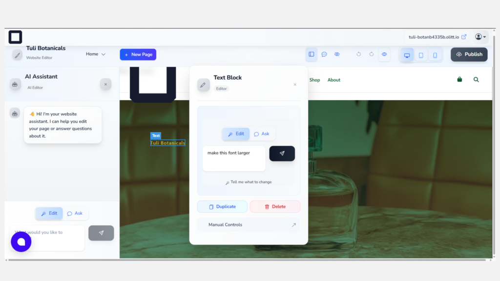 Build Your Website in India the Smart Way with Olitt AI 5 edit your website with ai