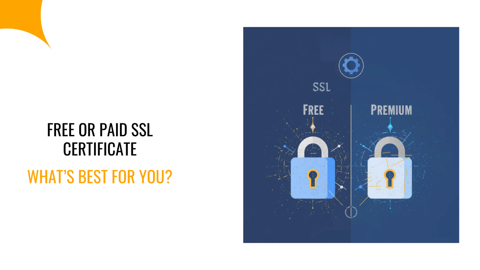 Free or Paid SSL Certificate: What’s Best for You?