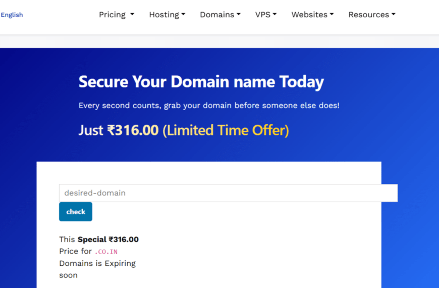 .co.in Domain Pricing: What To Pay