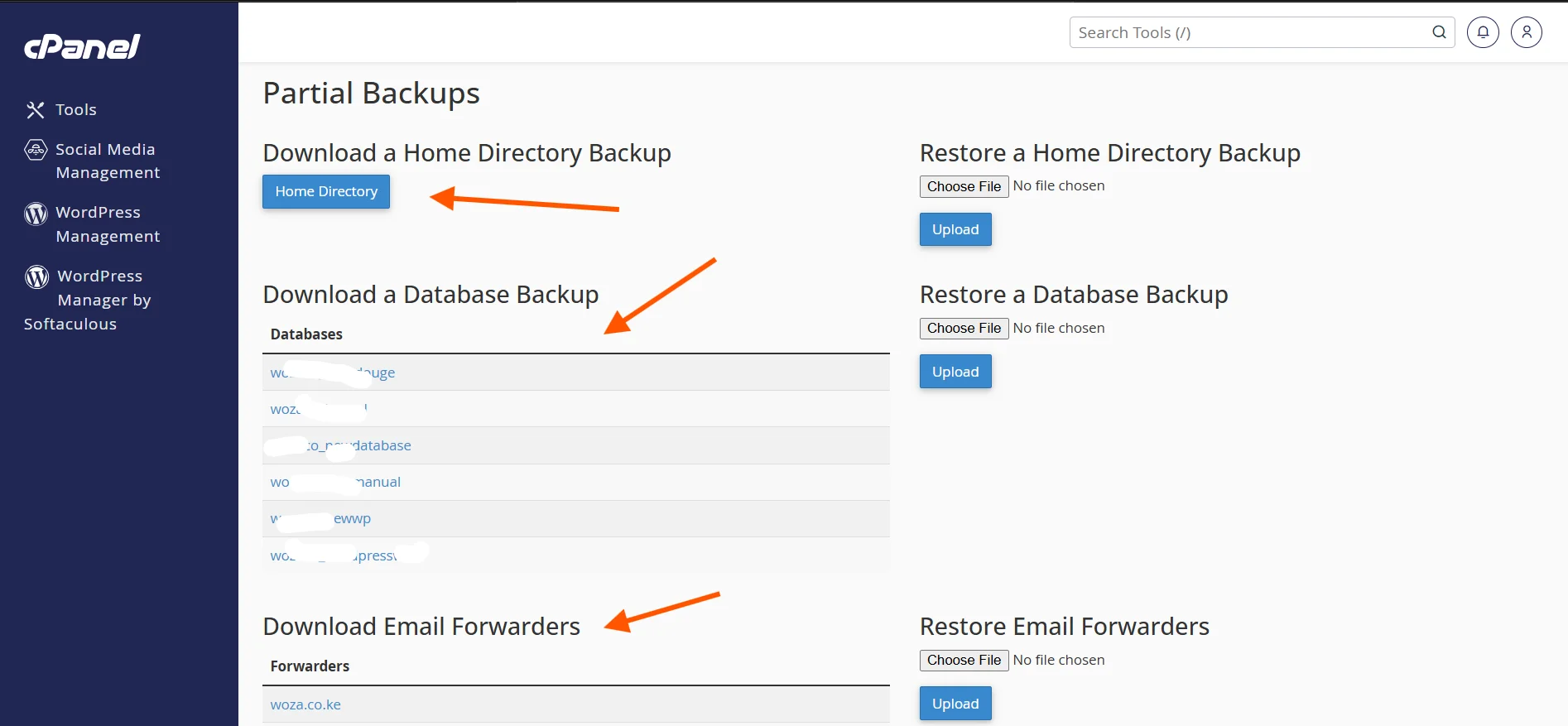 How To Do a Website Backup and Restore Using cPanel 12 cpanel-backup-partial
