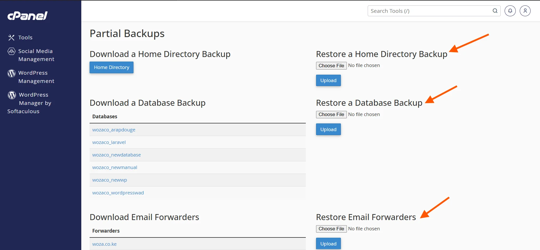 How To Do a Website Backup and Restore Using cPanel 16 cpanel-backup-restore