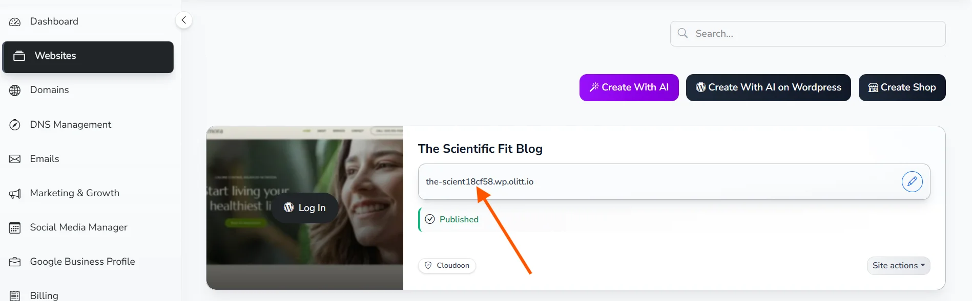 ollit-view-blog-website
