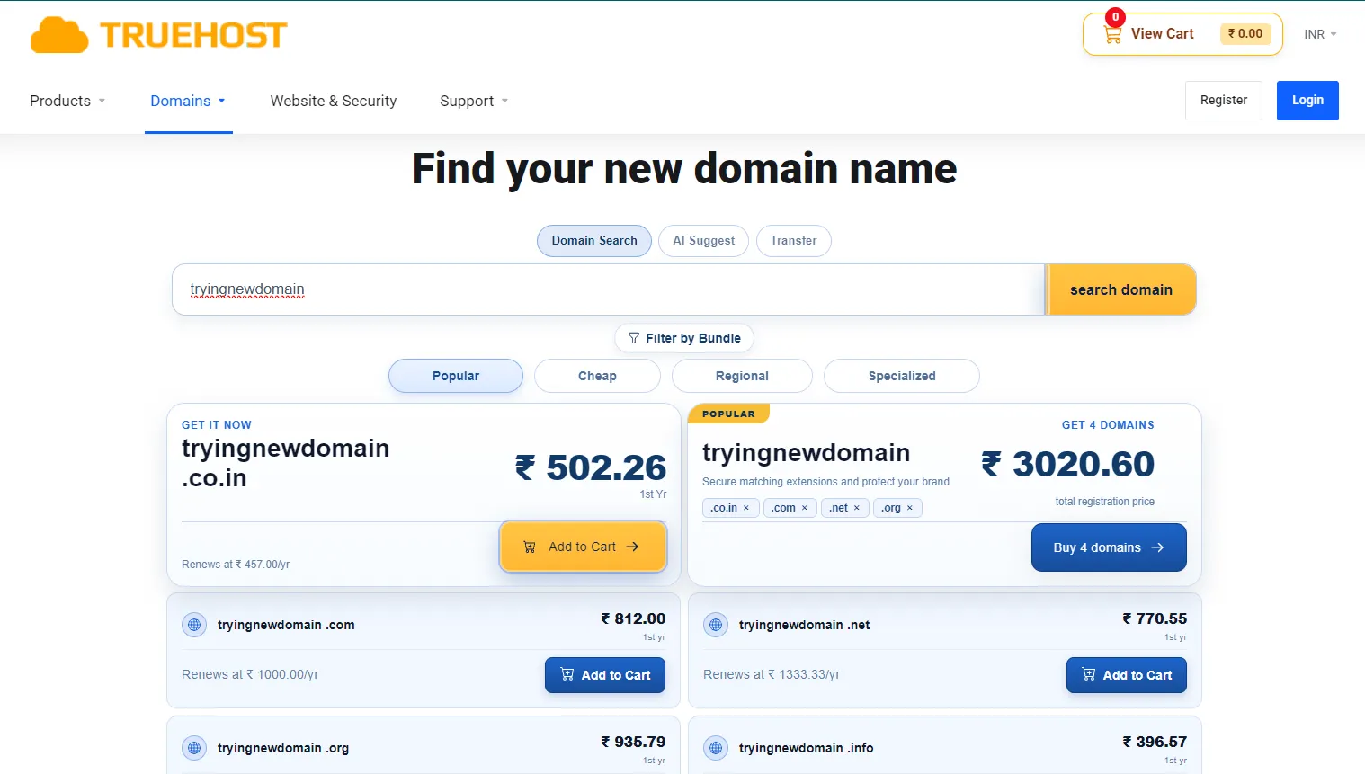 Find your new domain name results